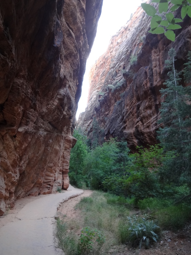 Paved sandstone trail going up Refrigerator canyon (before you get to Walter's Wiggles)